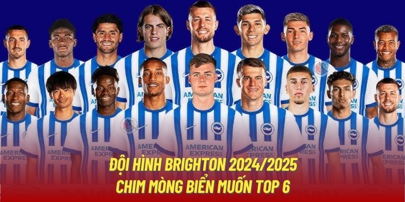 Thông tin mới nhất về đội hình Brighton mùa giải 24/25